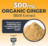 Organic Turmeric and Ginger Tablets, 90 Count - High Potency Supplement with Black Pepper for Joint & Heart Health
