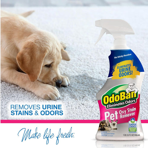 OdoBan Pet Solutions Neutral pH Floor Cleaner Concentrate, 1 Gallon & Oxy Stain Remover 32 Ounce Spray