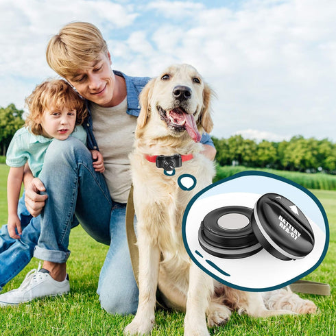 KGC RFA-67 6 Volt Replacement Dog Collar Batteries - Compatible with PetSafe RFA 67 Battery (10 Pack)