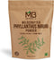 MB Herbals Wildcrafted Phyllanthus Niruri Powder, 100 Grams, Chanca Piedra
