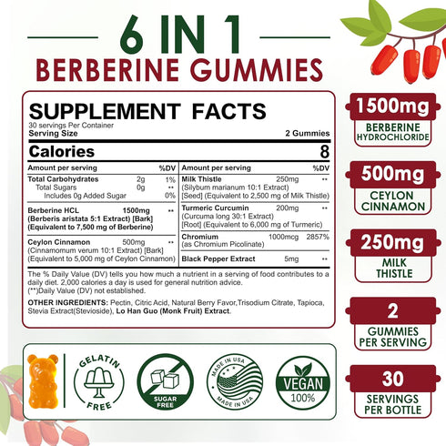 Berberine Supplement 1500mg - Sugar Free Gummies with Ceylon Cinnamon, Turmeric, Milk Thistle, 2 Pack