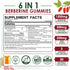 Berberine Supplement 1500mg - Sugar Free Gummies with Ceylon Cinnamon, Turmeric, Milk Thistle, 2 Pack