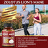 5X Potency 2 Packs 90 Capsules Lions Mane Mushroom Supplement, 5050mg, 6 Month Supply with Cordyceps, Reishi,