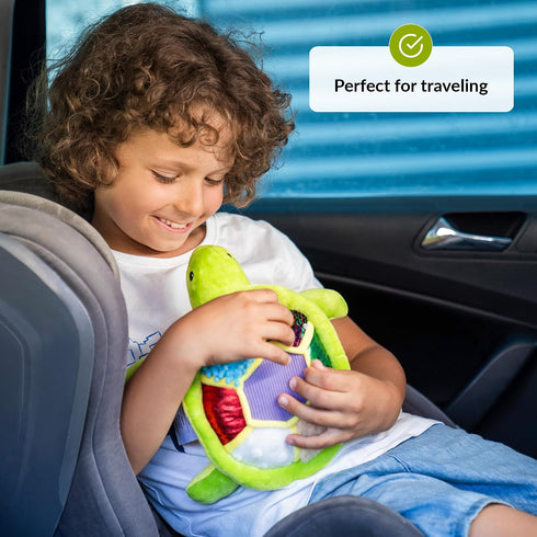 ODOXIA Sensory Turtle Stuffed Animal | Plush Toy | Fidget Stuffed Animal for Kids | Great for Sensory Needs | Pillow