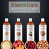 Peach Kernel Oil 4 fl. oz., Cold Pressed 100% Pure & Natural Carrier, Ideal for Skin, Face, Body, and Hair Moisturizer