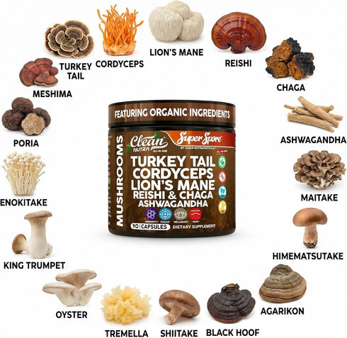 Immunity 90 Organic Turkey Tail Mushroom Supplement Capsules | Lions Mane Cordyceps Reishi Chaga + Ashwagandha Stress