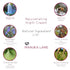 Manuka Lane Night Cream with Retinol, Manuka Honey, Peptides for Youthful, Healthy Skin