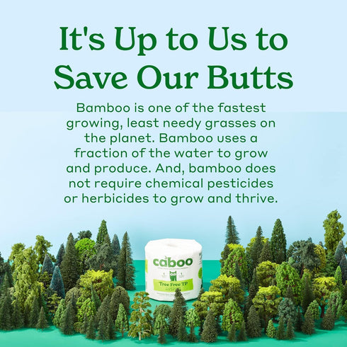 Caboo Tree Free Toilet Paper, 300 Sheets per Roll, Quick Dissolving 2 Ply, Septic Safe Bath Tissue
