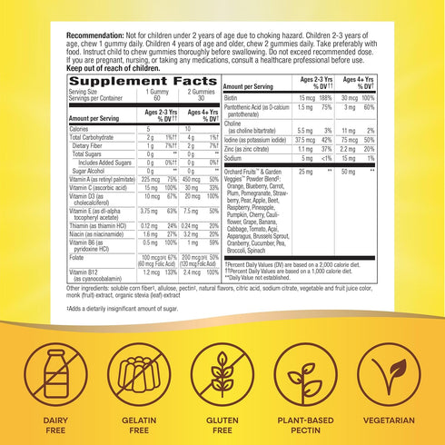 Gummy 2+, Immune 60 Gummies Natures Way Alive! Kids Zero Sugar Multivitamins, for Kids Ages Supports Bone, Eye
