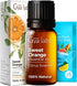 Gya Labs 100% Pure Orange Essential Oil for Diffuser & Skin, Natural Sweet Orange Oil, 0.34 Fl Oz