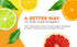 Buffered Vitamin C Powder Supplement, High Absorption Immune Support Drink with Ascorbate C, Organic, Vegan, 8oz
