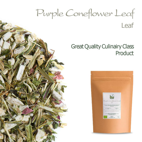 Immunity Purple Coneflower Herb Echenecia Tea - Support Tea - Echinacea Tea Coneflower Tea Echinacea Herb Purple Tea