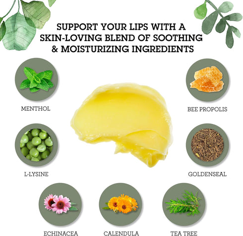 Quantum Health Lip Clear Lysine+ Cold Sore Treatment - L-Lysine Menthol Calendula & Propolis Ointment, 0.25 Oz