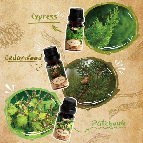 Set, SALKING Woody Essential Oils Gift Natural and Pure Aromatherapy Fragrance Oils for Diffuser, Humidifier, Massage