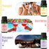 Summer 12 Sets and Spring Fragrance Oils, MitFlor Bottles Premium Scented Oils for Diffuser, Soap and Candle Making