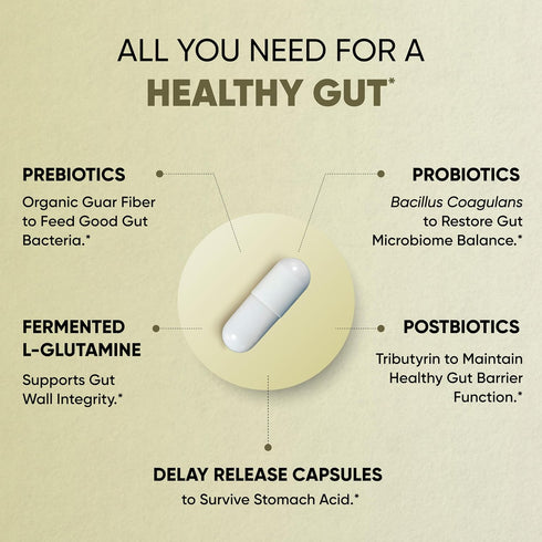 Sandhu's Gut Health - Prebiotic, Probiotic, Postbiotic & L-Glutamine | 120 Delayed Release Capsules for Digestive Health