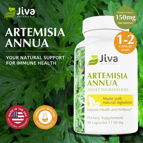 Jiva Botanicals Artemisia Annua Sweet Wormwood Capsules, Supports Immune System & Liver Health, 90 Capsules