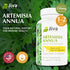 Jiva Botanicals Artemisia Annua Sweet Wormwood Capsules, Supports Immune System & Liver Health, 90 Capsules