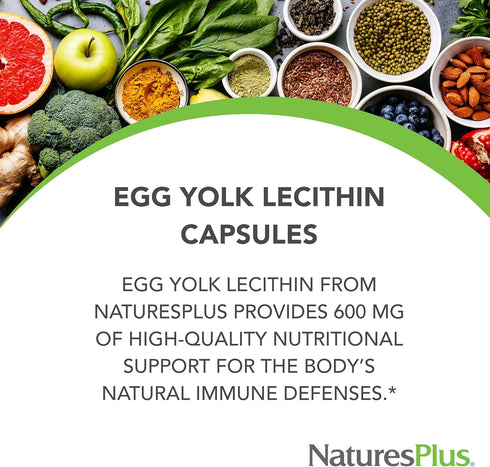 NaturesPlus Egg Yolk Lecithin - 600 mg, 180 Capsules - Gluten Free, Soy Free - 90 Servings