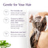 Mistry's Aloe Vera Jojoba Conditioner 200ml - Gentle, Strengthening & Nourishing Natural Hair Care