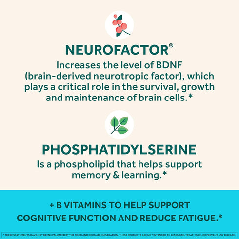 NEURIVA Plus Brain Supplement - Memory, Focus & Cognitive Function with B6, B12 & Nootropics - 50ct