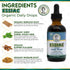 Immune 2oz (59ml) Essiac Original Tea USDA Organic Daily Drops for Enhanced Lymphatic Drainage and Support | Alcohol