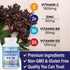 NEW AGE 8 in 1 Immune Support Booster Supplement with Echinacea, Vitamin C, Zinc 50mg, Vitamin D 5000 IU, Turmeric