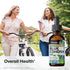 BIO KRAUTER Blue Cohosh Tincture - Caulophyllum Thalictroides Extract for Women’s Health Support, 2 Fl.Oz.