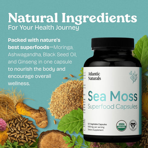 Atlantic Naturals Sea Moss Capsules with Moringa, Ashwagandha, Black Seed Oil, Ginger & Ginseng, 120 Count