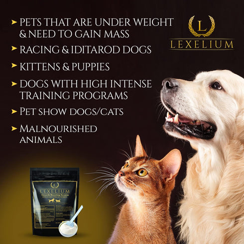 Weight Gainer Supplement for Dogs & Cats - Muscle Building & Appetite Stimulation, 100% Natural Pet Supplement, 200g