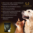 Weight Gainer Supplement for Dogs & Cats - Muscle Building & Appetite Stimulation, 100% Natural Pet Supplement, 200g