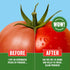 Rebel Green Fruit & Veggie Clean - Plant-Based Produce Cleaner - Natural Fruit and Vegetable Wash with No Aftertaste