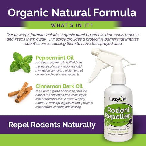 Peppermint Oil Spray for Rodents Plus Cinnamon Oil - MAX Power Mouse Repellent (2 Pack) by Lazy Cat