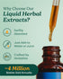 Herb Pharm Asian Ginseng Liquid Glycerite, Alcohol-Free, 1 Ounce for Energy and Stamina