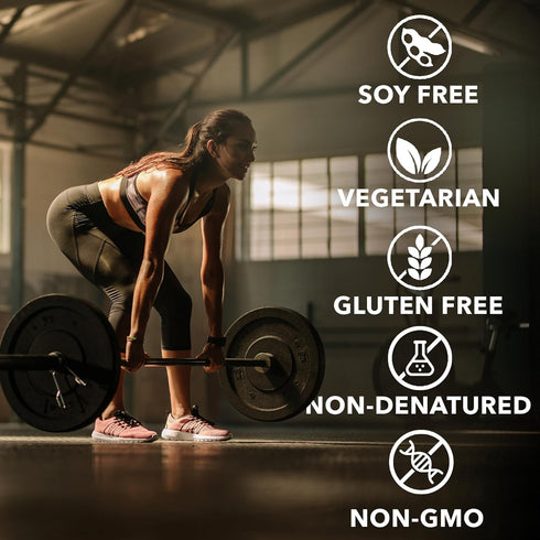 Whey Fantastic Chocolate 100% Natural Grass Fed Whey Protein Powder - Unique 3-Whey Blend of Whey Isolate, Concentrate
