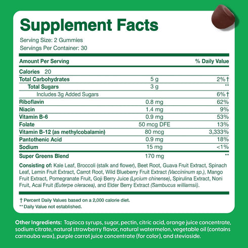 Gummies Gummies Gummy 60 Count Feel Great Super Green for Kids | Fruit and Vegetable | Vegan Veggie Multivitamin