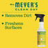 Set, 3 Mrs. MEYER'S Kitchen Dish Soap, Hand Soap, and Multi-Surface Cleaner, CT (Honeysuckle)