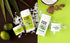 Pretty Frank Natural Aluminum-Free Deodorant Stick, Coconut Lime, 1-Pack, Organic Ingredients for Sensitive Skin