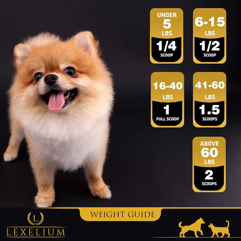 Weight Gainer Supplement for Dogs & Cats - Muscle Building & Appetite Stimulation, 100% Natural Pet Supplement, 200g