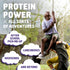 Zbar Protein - Cookies 'n Creme, Crispy Whole Grain Snack Bars with Organic Oats, 5g Protein, 1.27 oz. (15 Pack)