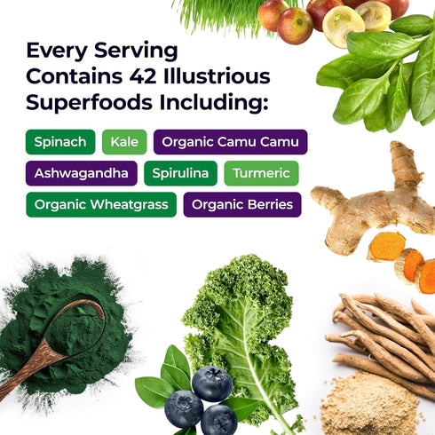 Paradise Herbs ORAC Energy Greens Powder - Antioxidant Power of 24 Servings of Fruits & Vegetables in 1 Scoop, 15