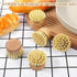Xosjska 10 Pcs Bamboo Dish Brush Replacement Heads Wooden Washing Up-Brush Heads Bamboo Dish Scrubber Brush Kitchen