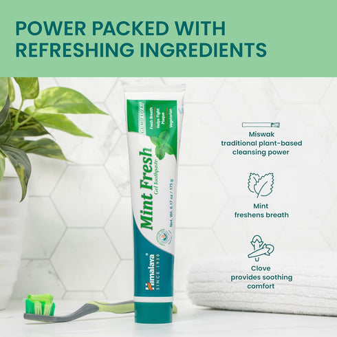 Himalaya Mint Fresh Gel Toothpaste - Fluoride Free, 6.17 oz to Reduce Plaque & Brighten Teeth