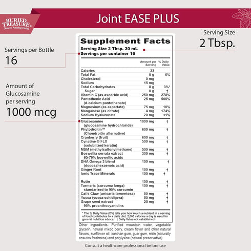 Buried Treasure Joint Ease Plus - 16 fl oz, Glucosamine Chondroitin with MSM and Turmeric for Joint Support