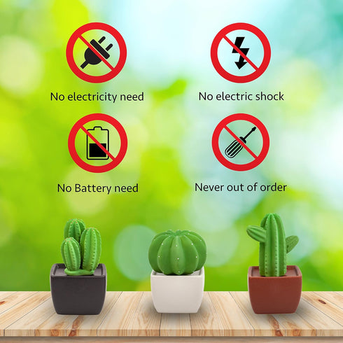 Tri Cactus, Non-Electric Ceramic Diffusers for Essential Oils and Aromatherapy Fragrance, White Ceramic Diffusers