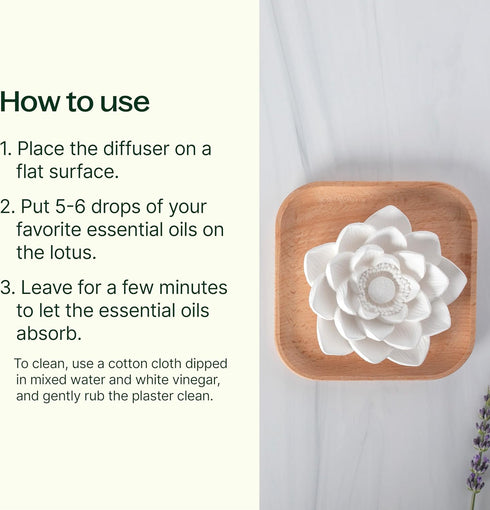Plant Therapy Passive Lotus Flower Aromatherapy Diffuser | Chic and Natural Essential Oil Diffuser for Home, Office
