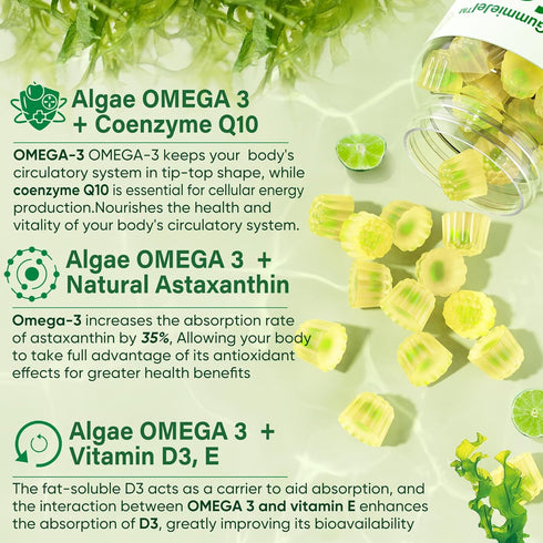 Vegan Omega 3 Supplement Gummies, 2000mg Algae Omega 3 with 640mg DHA & 290mg EPA, Sugar Free, 60 Count