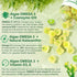 Vegan Omega 3 Supplement Gummies, 2000mg Algae Omega 3 with 640mg DHA & 290mg EPA, Sugar Free, 60 Count