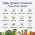 VITALITOWN Probiotics 200 Billion CFUs, 36 Strains, Shelf Stable, Acid & Bile Resistant for Intensive Digestive &