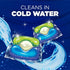 HAMMER 5-in-1 72 Count ARM & Plus OxiClean Stain Fighters: Laundry Detergent Power Paks, Fresh Scent